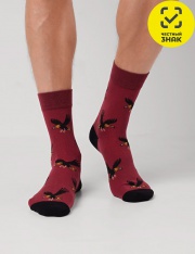 ����� - CLE ����� ���.�6600 (��������)