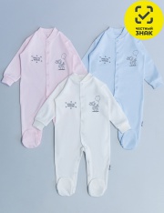  -  .310.005.0.231.005