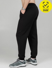 Брюки - Брюки мужские БРМ-20-30 Брюки - Брюки мужские БРМ-20-30