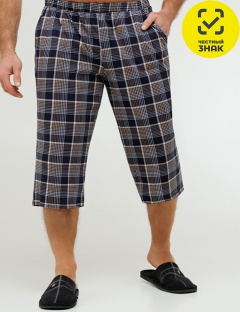 Бриджи Бриджи