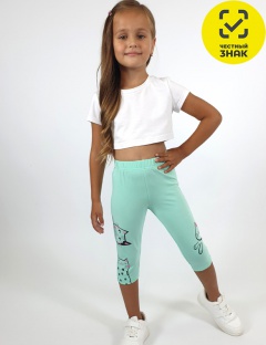 Бриджи Бриджи