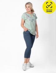 �������� - �-221 ������ ����