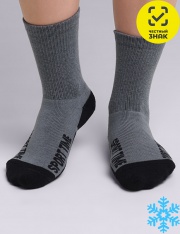����� - CLE ����� ���.�301� (�����)