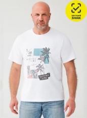 �������� - �������� ������� ���-38-13(68)