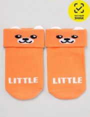 ����� - CLE ����� ���.�003 (���������)