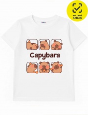 �������� - �������� 0954103305