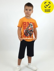 �������� - 01-146-5 �������� ��� ��������