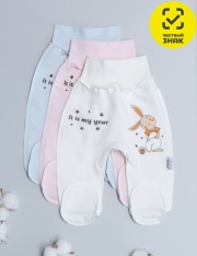  -  .230.005.0.318.055